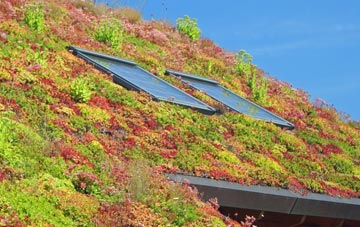 Hartwoodburn living roof systems